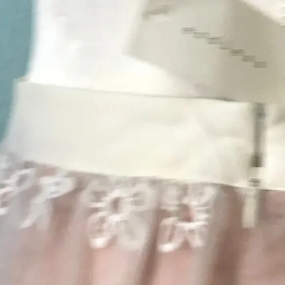 Endless Rose Pink Skirt, Sheer Floral Overlay - Picture 4 of 8